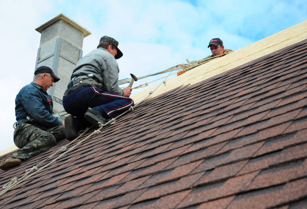 Best Commercial Roofing Services  in Cypress Lake, FL